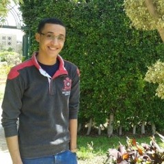 Ahmed Ismail 277