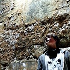 Travis Michael Setala