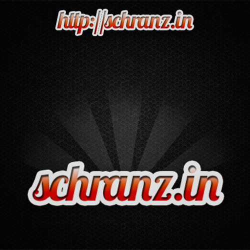 schranz.in’s avatar