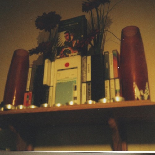interpol - pda