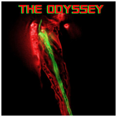 The Odyssey - BC