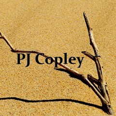 peterjcopley