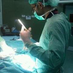 tareq