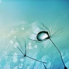 Angie'La B Liv Butler