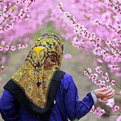 Nilufar Pkf