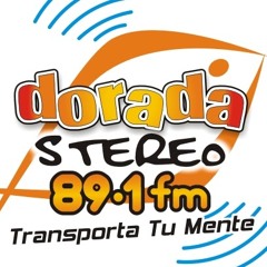 Stream Dorada Stereo music | Listen to songs, albums, playlists for free on  SoundCloud