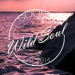 Wild Soul Sound
