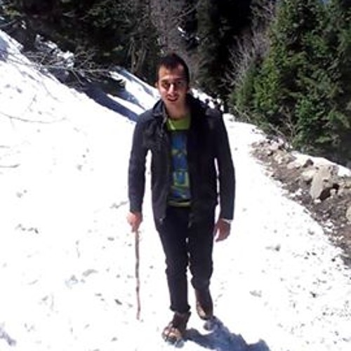 Arsalan Najeeb 1’s avatar