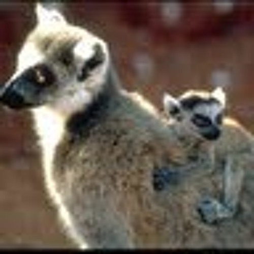SoundCloud profile picture for @lemur