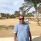 tarek aboelmagd