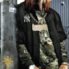 Court Kapone