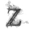 zayash25