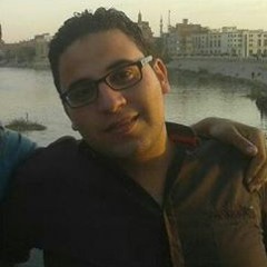ahmed hegazy