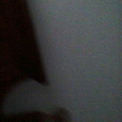 user217752489