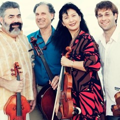 Delray String Quartet