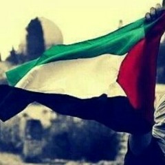 muhammed_elnakib