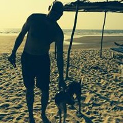 Street Dog Collective