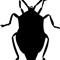 Cimex_Official
