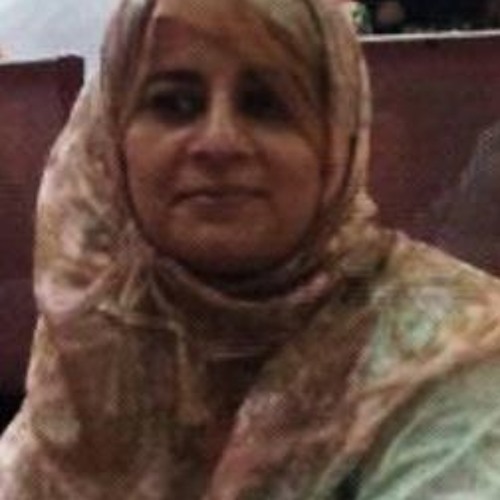 Nasreen Baghdadi’s avatar