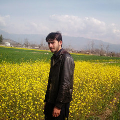 salman mahmood 7