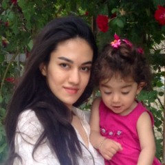 sediqe hosseini