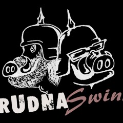 Brudna Swinia