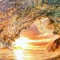 andy_972