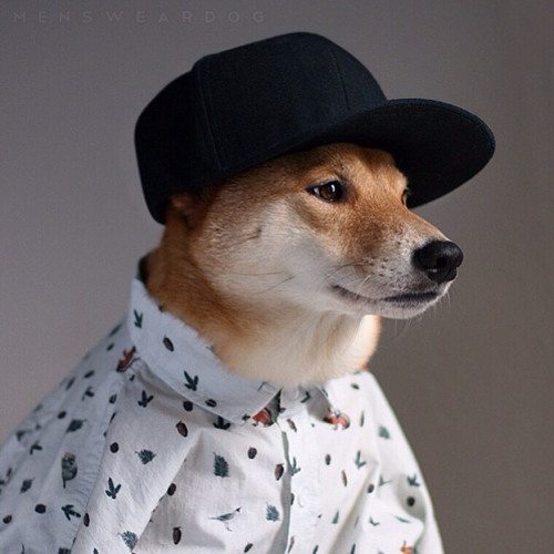 SoundCloud profile picture for @fffa