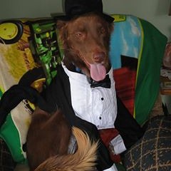 Hali Vaughan-Macdonald