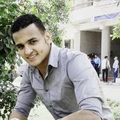 Mohamed Mohsen