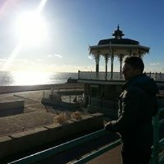 Samuel James Whibley