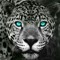 dj_kryptic