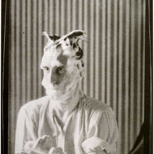 Amy Clampitt, A Whippoorwill in the Woods