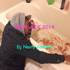 Dj Nasty Coochie