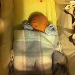 Andrew 'wolfy' Turner