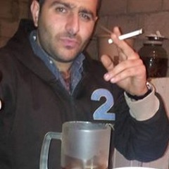 cheikh roy