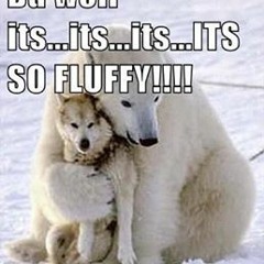 Isaac FluffyWolf Rader