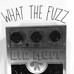 What the Fuzz