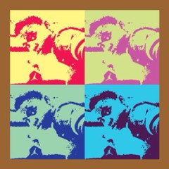 Fly_From_Around_the_Way