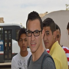 ayman elsayed