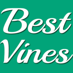 Laugh Time The Best Vines