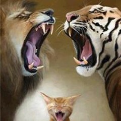 Teresa White Osborne