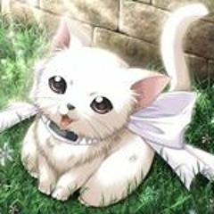NekoDog37