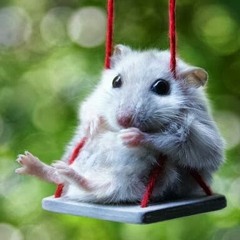 mouseonaswing