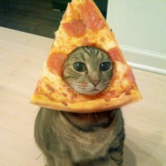 catpoopcoffee