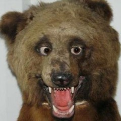 christopher-grizzly-roodt