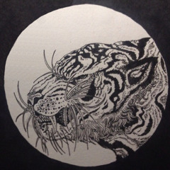 TIGERSQUASH