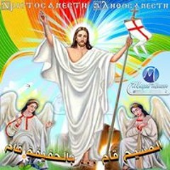 Nashaat Ibrahim Kamel