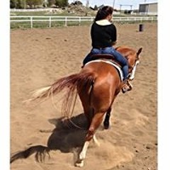 Marcy Kristine Lineback