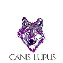 Canis lupus lupus